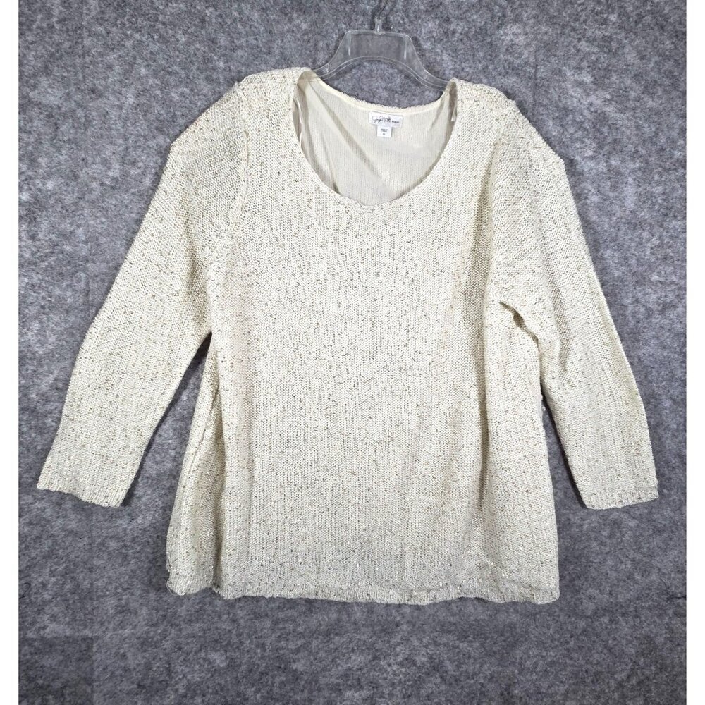 Jaclyn Smith Women's Knit Sweater Scoop Neck Long Sleeve Pullover  Gray Size 3X